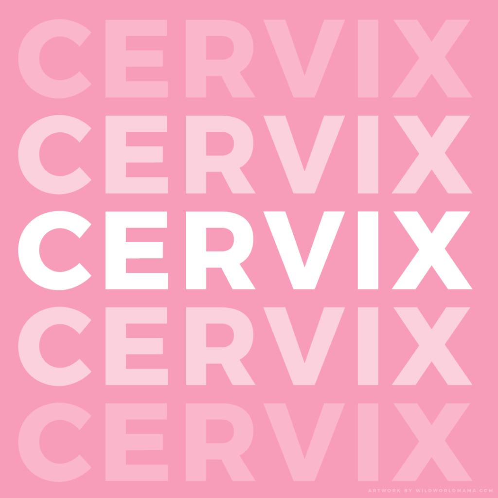 5 Ways to Help Soften the Cervix
