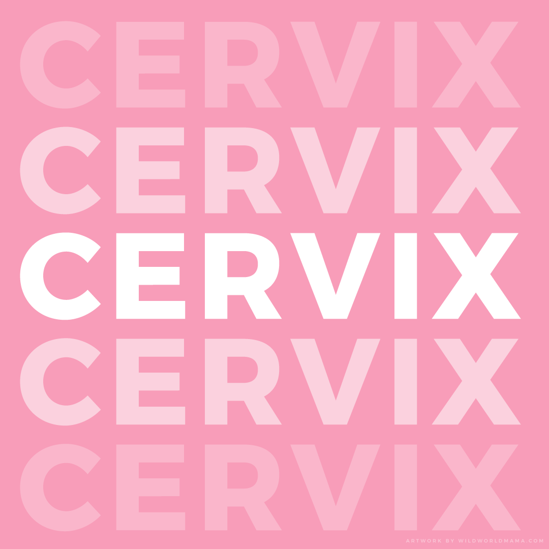 5 Ways To Help Soften The Cervix